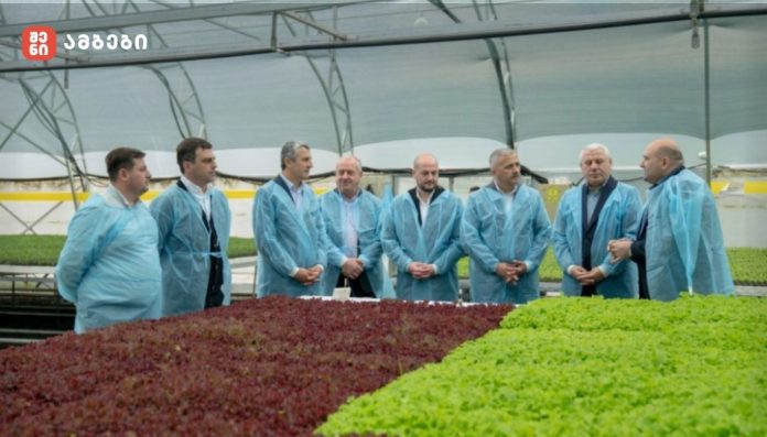 შუახევის საჩითილე მეურნეობაში წარმოებულია ბოსტნეული კულტურების — პომიდვრის, კიტრის, წიწაკის, ბადრიჯნის, ბროკოლის, სალათის ფოთლის, ყვავილოვანი კომბოსტოსა და ყაბაყის — ჯამში 300 000 ერთეული ჩითილი