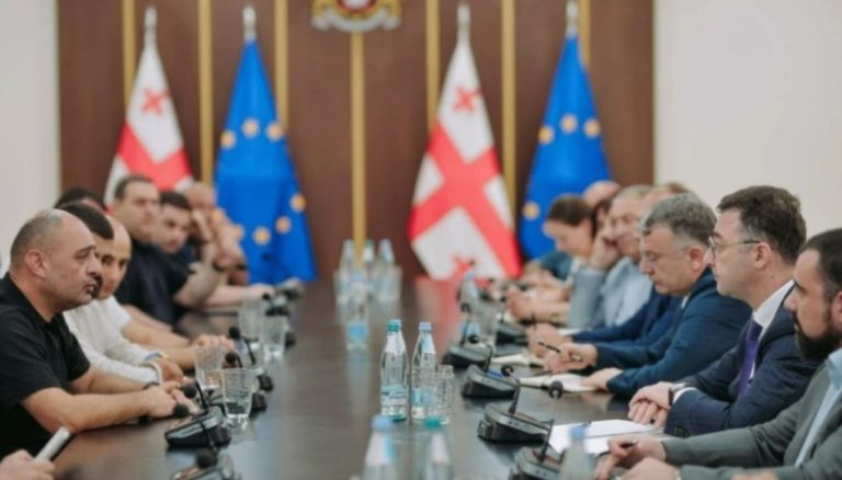 „მეფრინველეობის სექტორის ეფექტიანი ფუნქციონირებისა და მისი საჭიროებების გათვალისწინების მიზნით, მივიღეთ გადაწყვეტილება დარგობრივი საბჭოს შექმნის შესახებ“ – დავით სონღულაშვილი მეფრინველე ფერმერებსა და ექსპორტიორებს შეხვდა