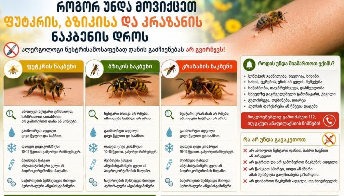Georgian infographic about insect bites with three panels on bees, wasps and hornets and prevention tips.