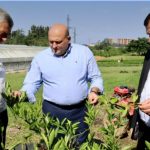 მთავარი | შენი სოფელი | Page 434