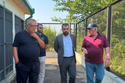 „თანამედროვე სასაწყობე ინფრასტრუქტურის განვითარება სოფლის მეურნეობის ერთ-ერთი მნიშვნელოვანი მიმართულებაა. მოსავლის სათანადო პირობებში შენახვა პირდაპირ უკავშირდება პროდუქციის ხარისხის შენარჩუნებასა და სასოფლო-სამეურნეო დანაკარგების შემცირებას. მნიშვნელოვანია, რომ კერძო სექტორი თანამედროვე ტექნოლოგიებს ნერგავს და ინფრასტრუქტურის განვითარებაში ინვესტიციებს ახორციელებს“-ლაშა ავალიანი ქანდაში მარცვლეულის შემნახველი მეურნეობის გახსნას დაესწრო