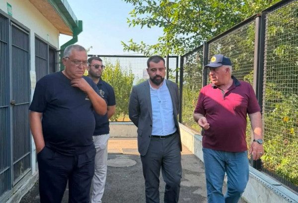 „თანამედროვე სასაწყობე ინფრასტრუქტურის განვითარება სოფლის მეურნეობის ერთ-ერთი მნიშვნელოვანი მიმართულებაა. მოსავლის სათანადო პირობებში შენახვა პირდაპირ უკავშირდება პროდუქციის ხარისხის შენარჩუნებასა და სასოფლო-სამეურნეო დანაკარგების შემცირებას. მნიშვნელოვანია, რომ კერძო სექტორი თანამედროვე ტექნოლოგიებს ნერგავს და ინფრასტრუქტურის განვითარებაში ინვესტიციებს ახორციელებს“-ლაშა ავალიანი ქანდაში მარცვლეულის შემნახველი მეურნეობის გახსნას დაესწრო