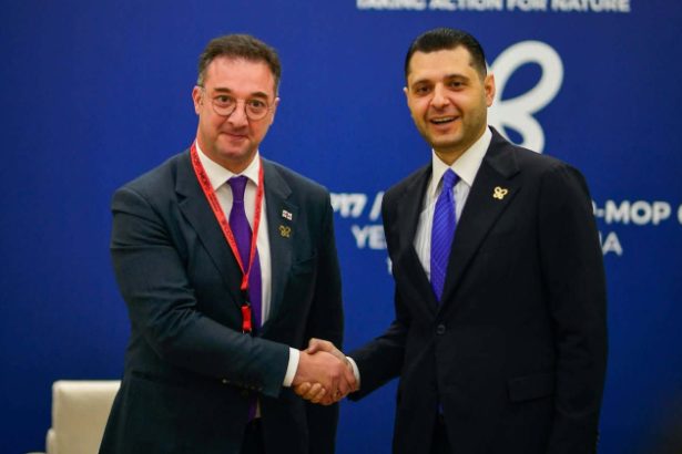 „საქართველოსა და სომხეთს შორის ისტორიული მეგობრობა და სტრატეგიული პარტნიორობა მყარ საფუძველს ქმნის გარემოსდაცვით სფეროში თანამშრომლობის კიდევ უფრო გასაძლიერებლად. ჩვენს ქვეყნებს საერთო გამოწვევები აქვთ ბიომრავალფეროვნების დაცვის, წყლის რესურსების მართვისა და კლიმატის ცვლილებასთან ადაპტაციის მიმართულებით“ -დავით სონღულაშვილი