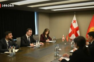 შეხვედრაზე მხარეებმა საქართველოსა და ყირგიზეთს შორის მეგობრული და პარტნიორული ურთიერთობების კიდევ უფრო გაღრმავების პერსპექტივები განიხილეს. ყურადღება გამახვილდა გარემოს დაცვის, კლიმატის ცვლილების, მდგრადი განვითარების, ბუნებრივი რესურსების მართვისა და ბიომრავალფეროვნების დაცვის მიმართულებებით თანამშრომლობის გაძლიერებაზე