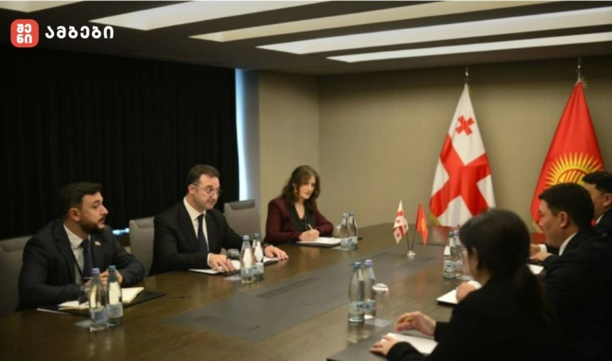 შეხვედრაზე მხარეებმა საქართველოსა და ყირგიზეთს შორის მეგობრული და პარტნიორული ურთიერთობების კიდევ უფრო გაღრმავების პერსპექტივები განიხილეს. ყურადღება გამახვილდა გარემოს დაცვის, კლიმატის ცვლილების, მდგრადი განვითარების, ბუნებრივი რესურსების მართვისა და ბიომრავალფეროვნების დაცვის მიმართულებებით თანამშრომლობის გაძლიერებაზე