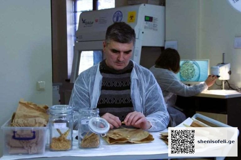 2023 წელს, სოფლის მეურნეობის სამეცნიერო-კვლევითმა ცენტრმა 36 ათასზე მეტი ნერგის და 700 ტონაზე მეტი სათესლე მასალის სერტიფიცირება განახორციელა