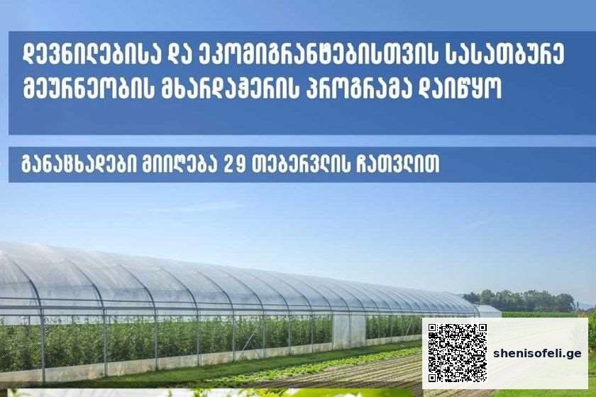 დევნილებისა და ეკომიგრანტებისთვის სასათბურე მეურნეობის | შენი სოფელი