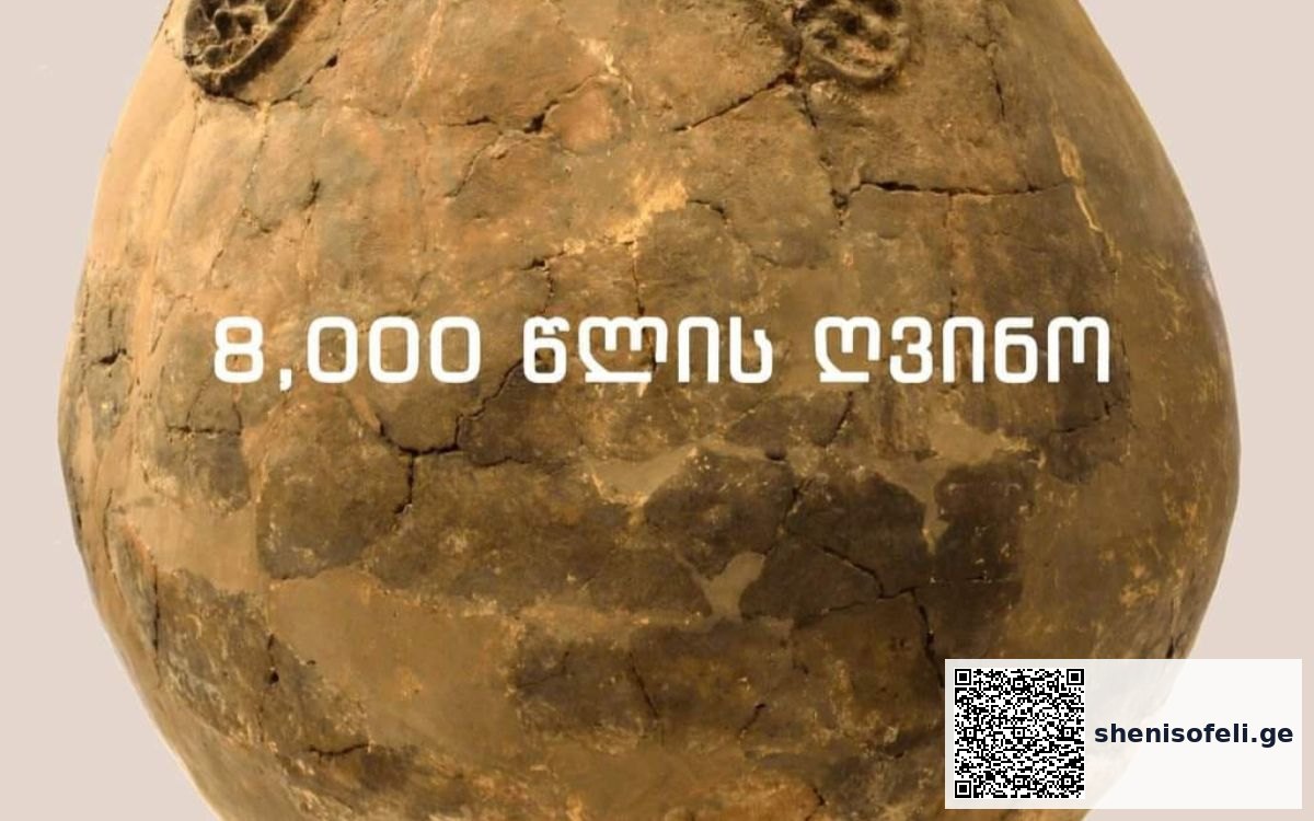 მსოფლიოში უძველეს ღვინოს 8,000 წლის წინ საქართველოში | შენი სოფელი
