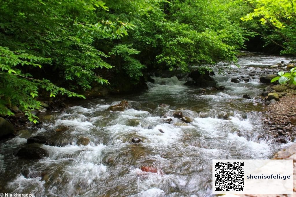 448754904_956704256467835_444065230500879418_n | შენი სოფელი კურორტი კვერეთი - სამკურნალოდ მსოფლიოს სხვადასხვა | შენი სოფელი