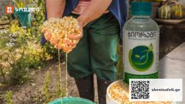 ის, რაც მემამულეს აინტერესებს –   რა არის ბიორაგი და როგორ გამოვიყენოთ ის?