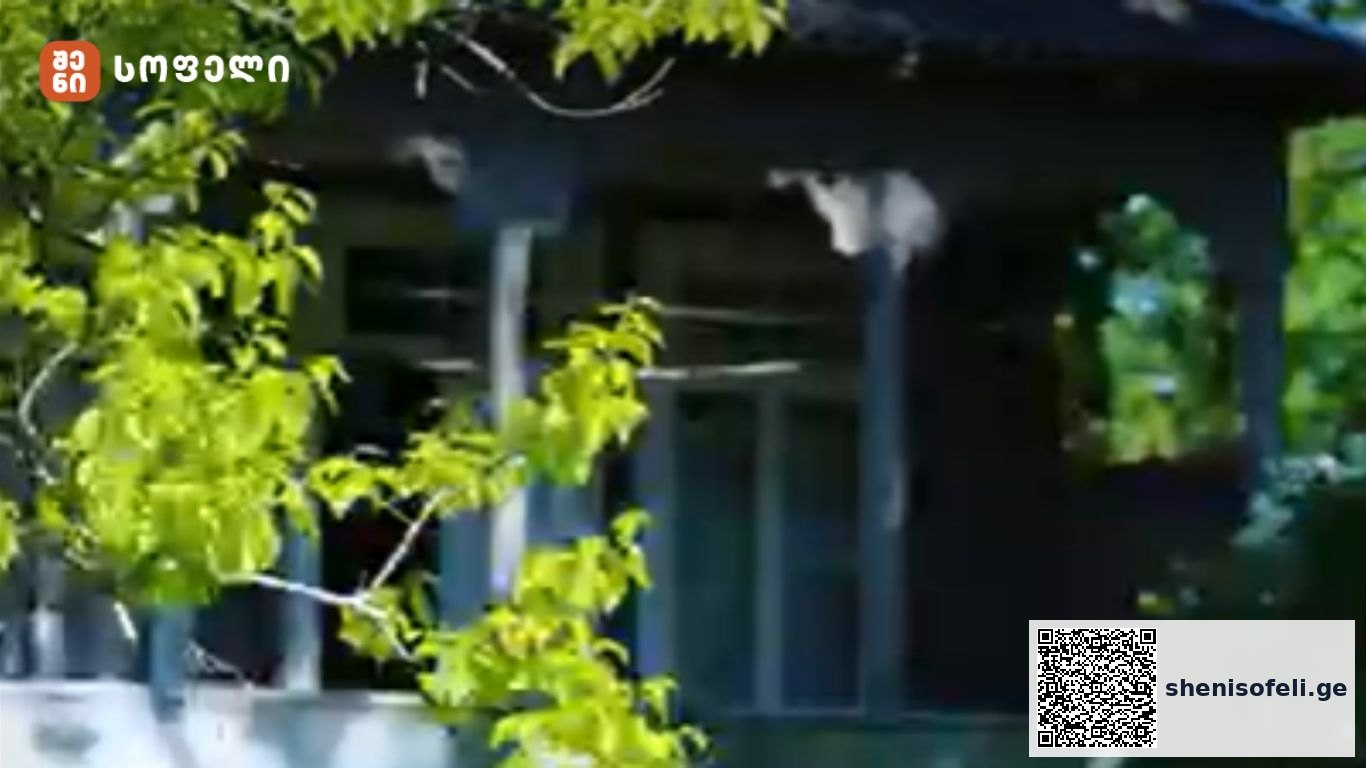 კულინარიული ექსპედიციის მიერ შეგროვებული უნიკალური | შენი სოფელი
