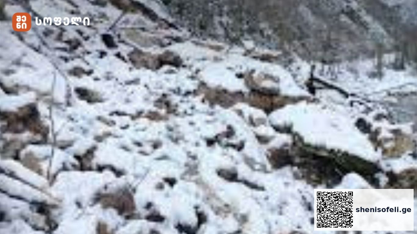 როგორ მოვიმოქმედოთ ზვავის ჩამოწოლის დროს და მის შემდეგ? | შენი სოფელი