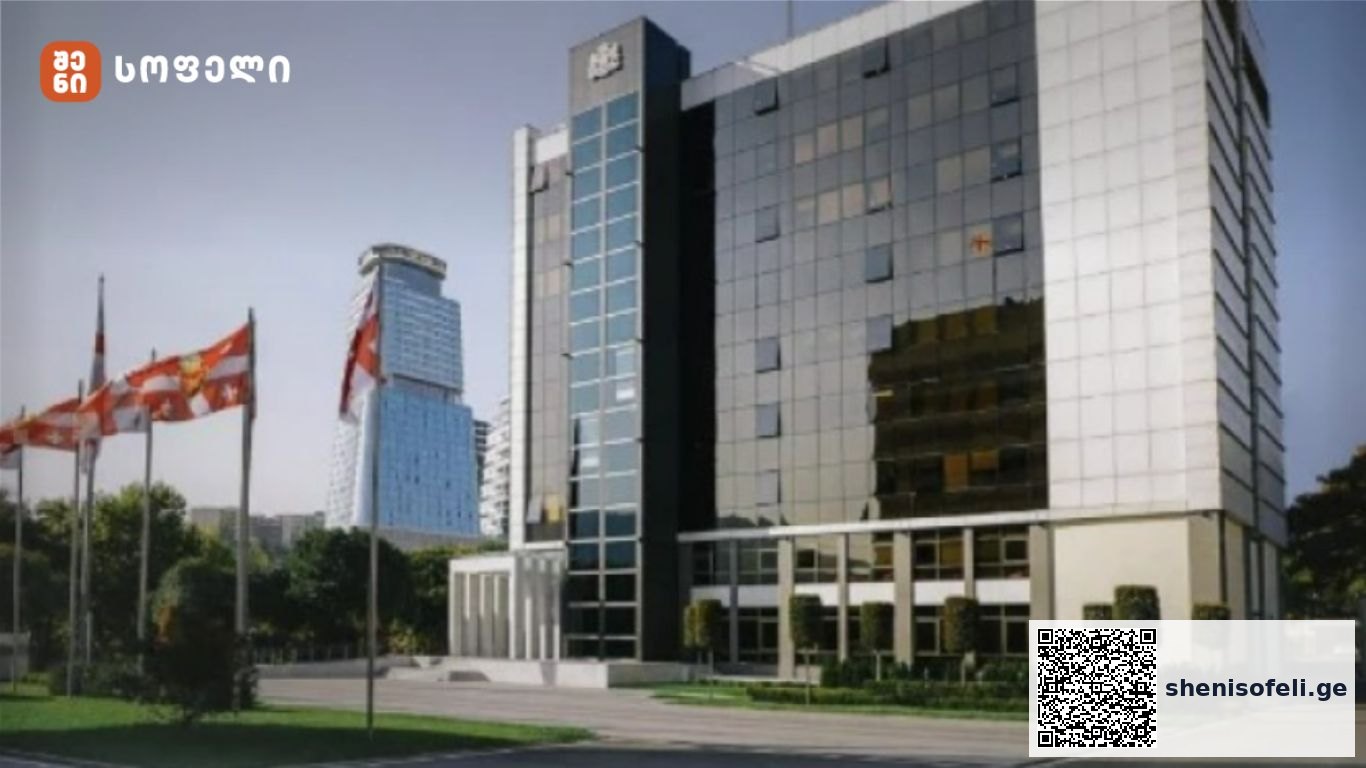 თავდაცვის ძალები დასავლეთ საქართველოში დიდთოვლობის | შენი სოფელი