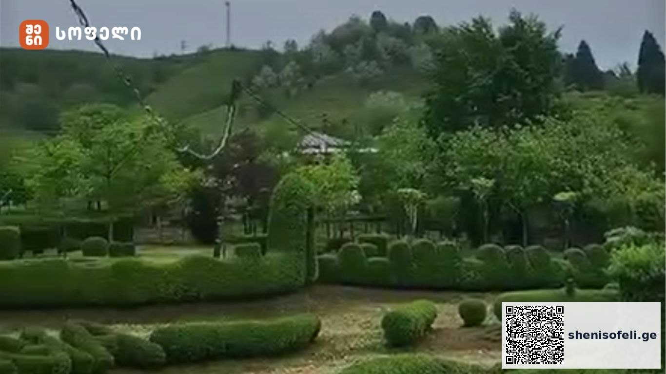 აკაკი ჯიჯელავას ეზო მარტვილის რაიონის სოფელი ტალერში | შენი სოფელი