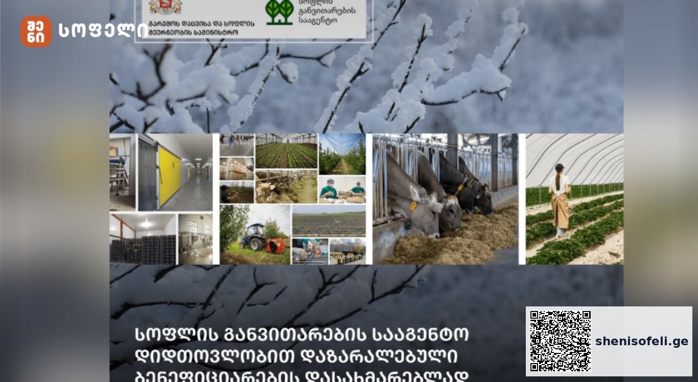 სოფლის განვითარების სააგენტო დიდთოვლობით დაზარალებული | შენი სოფელი