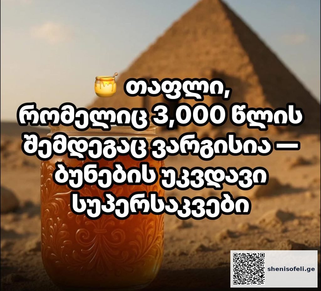 გემრიელი და უსაფრთხო საკვებად – არ გჯერათ? თაფლი, რომელიც 3,000 წლის შემდეგაც ვარგისია — ბუნების უკვდავი სუპერსაკვები | შენი სოფელი
