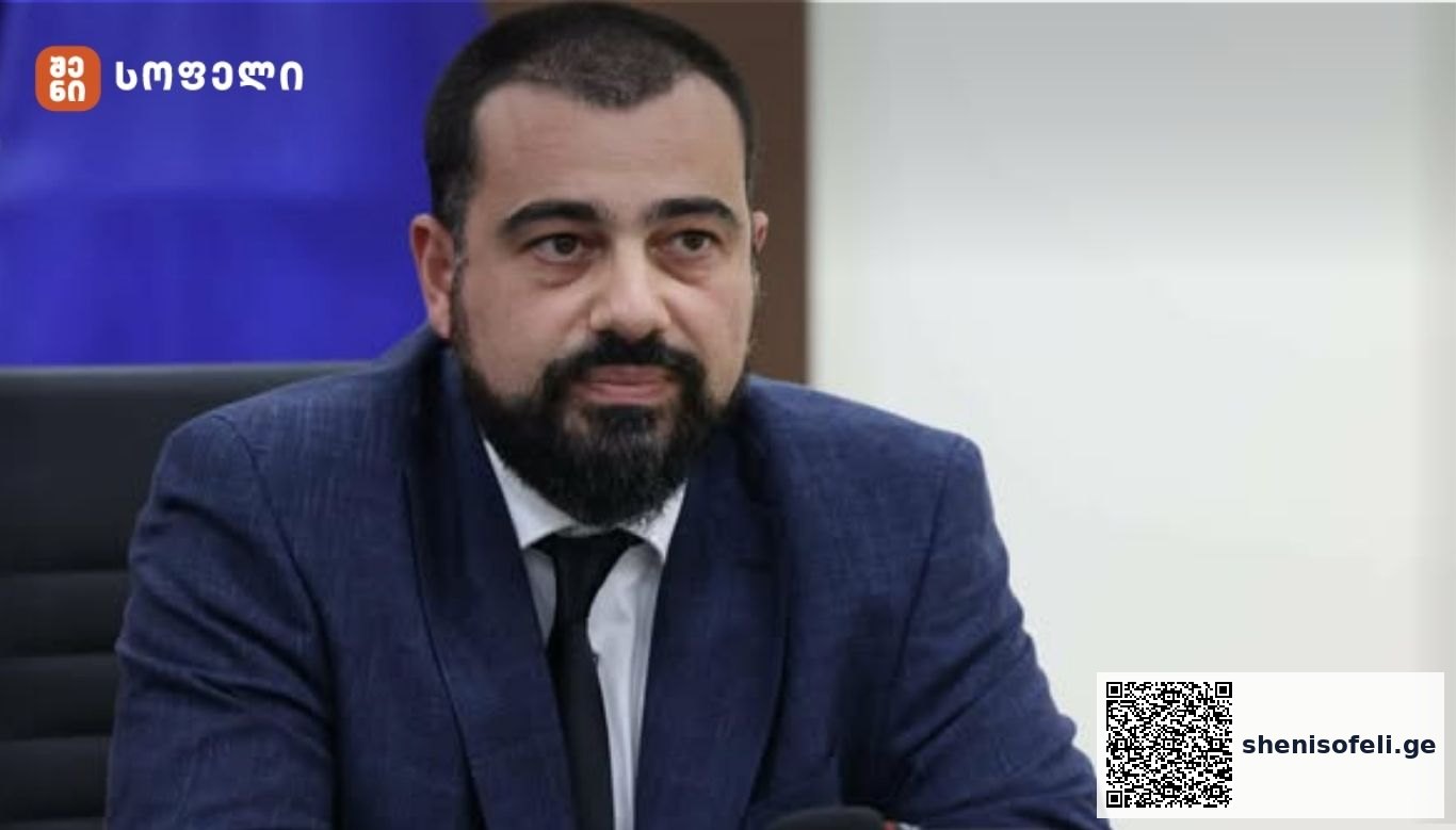 ლაშა ავალიანი: „ბრალდებები | შენი სოფელი