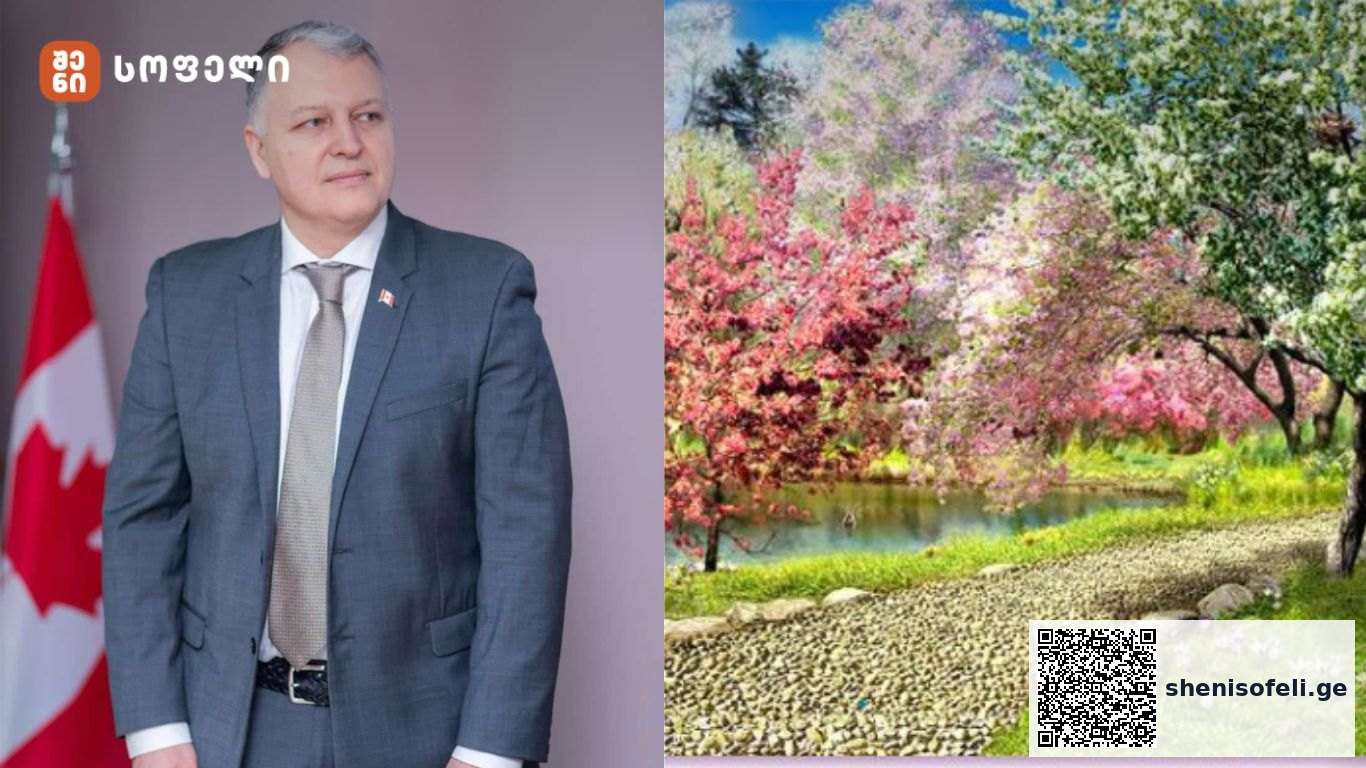 ბუნება — ყველაზე ძლიერი „მედიცინა“, რომელსაც უგულებელვყოფთ | შენი სოფელი