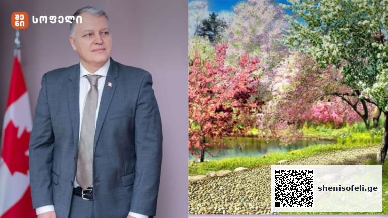 ბუნება — ყველაზე ძლიერი „მედიცინა“, რომელსაც უგულებელვყოფთ