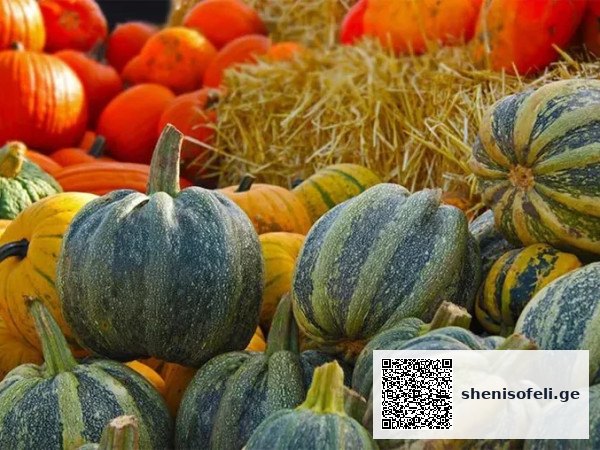 გოგრის კულტურის კვებით ღირებულებები | შენი სოფელი