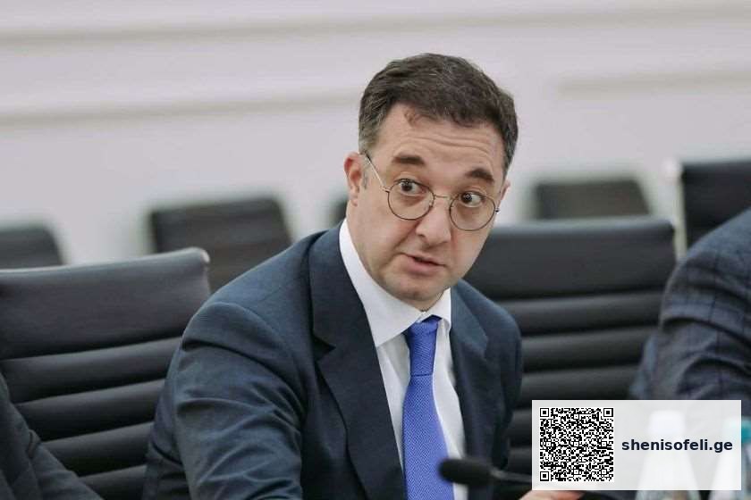 დავით სონღულაშვილი მოცვის საერთაშორისო ორგანიზაციის | შენი სოფელი
