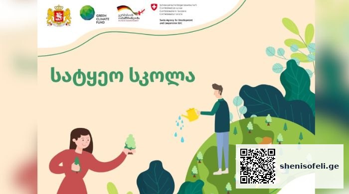 სატყეო განათლების შესახებ მითების გამოძებნა: რას ნამდვილად ასწავლიან სატყეო სკოლებში