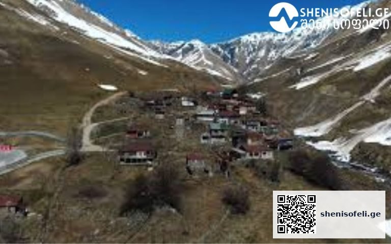 როგორ უზრუნველყოს ზამთრის მომზადება დიდთოვლიან რეგიონებში – სოფელ წკერის გამოცდილება