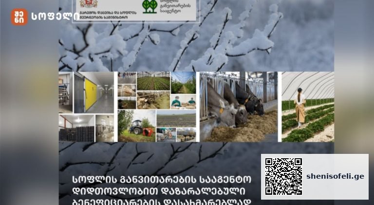 დიდთოვლობით დაზარალებული ფერმერების კომპენსაციის მითები და რეალობა