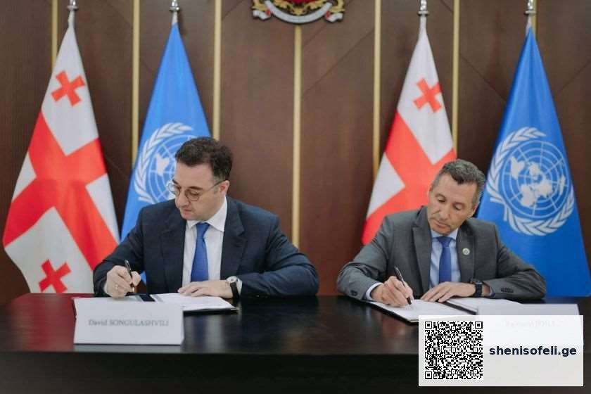ეროვნულ და საერთაშორისო დაინტერესებულ მხარეებთან | შენი სოფელი