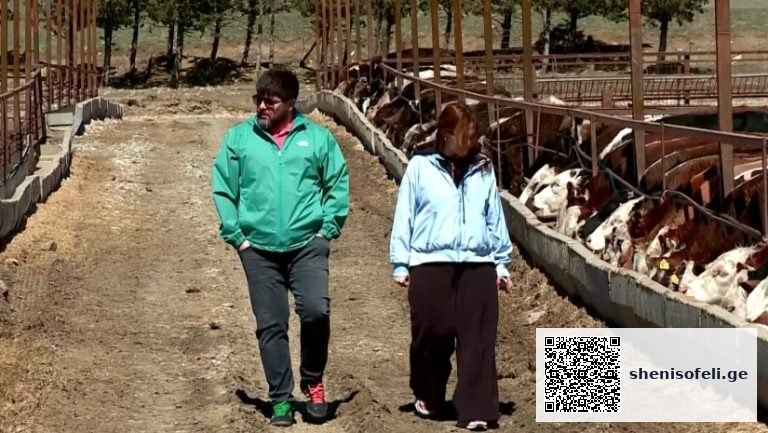 ₾3.5-მილიონიანი ინვესტიცია ნორიოში – “აგროქიზიყი” თანამედროვე ფერმის მშენებლობას ასრულებს